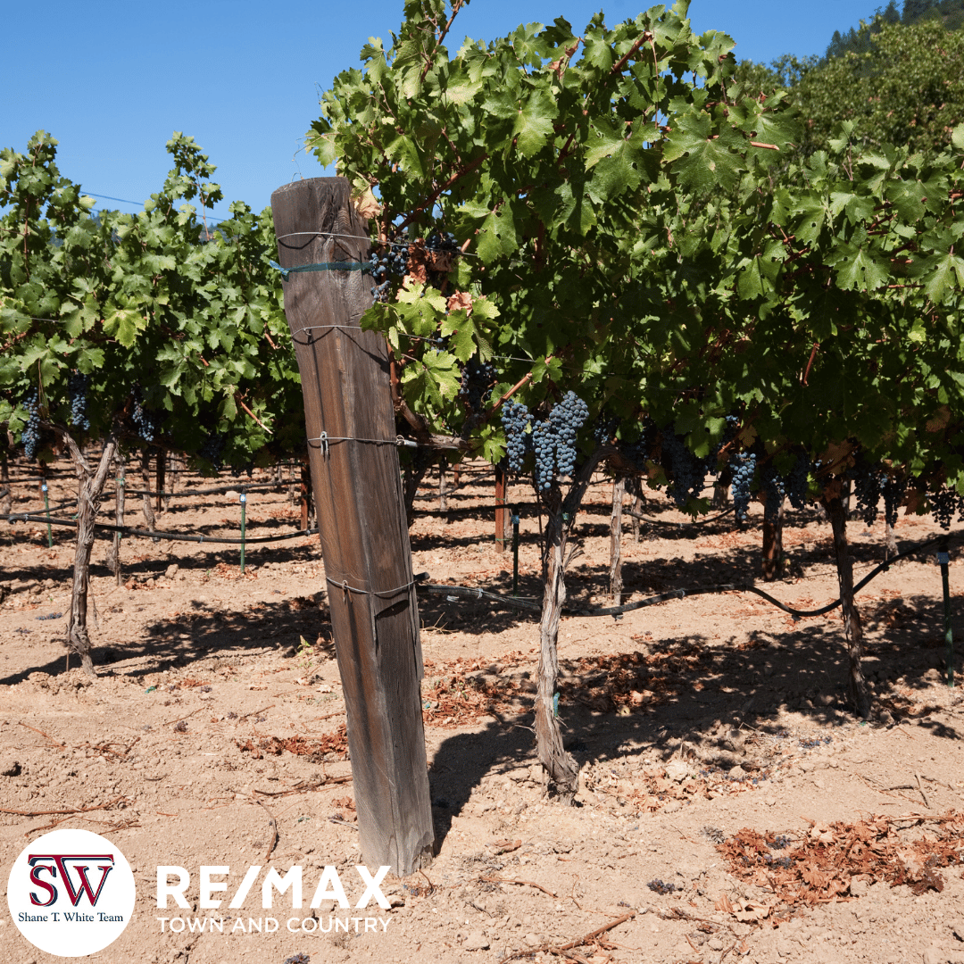 Best Fall And Winter Day Trips From Liberty Hill, TX